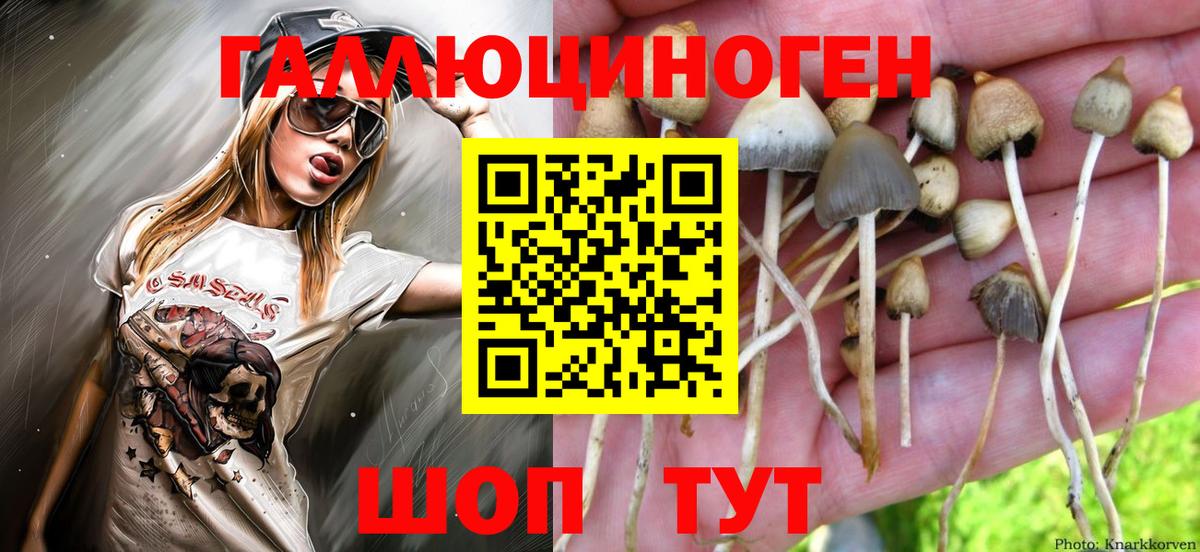 Чапаевск  Псилоцибиновые грибы Magic Shrooms  Вход с VPN  Галлюциногенные грибы Psilocybe 