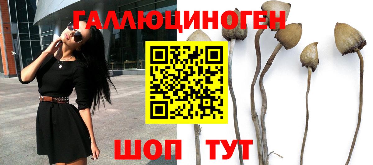 Псилоцибиновые грибы мухоморы Чапаевск